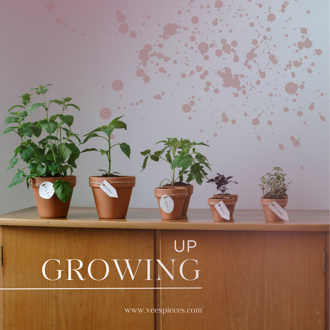 Image of plants at different stages of growth